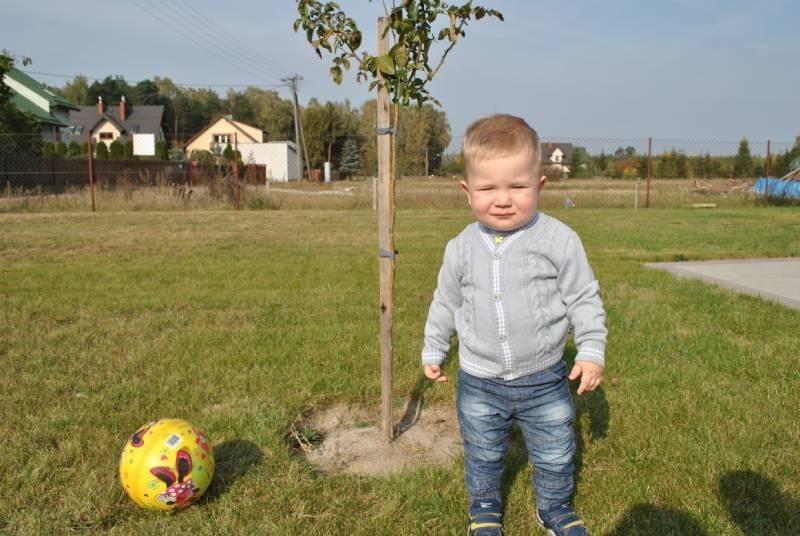 Sweterek chłopięcy serek /220/ szary